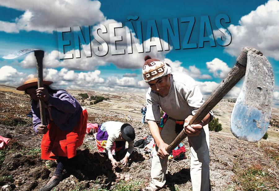 Día del Campesino: algunas enseñanzas