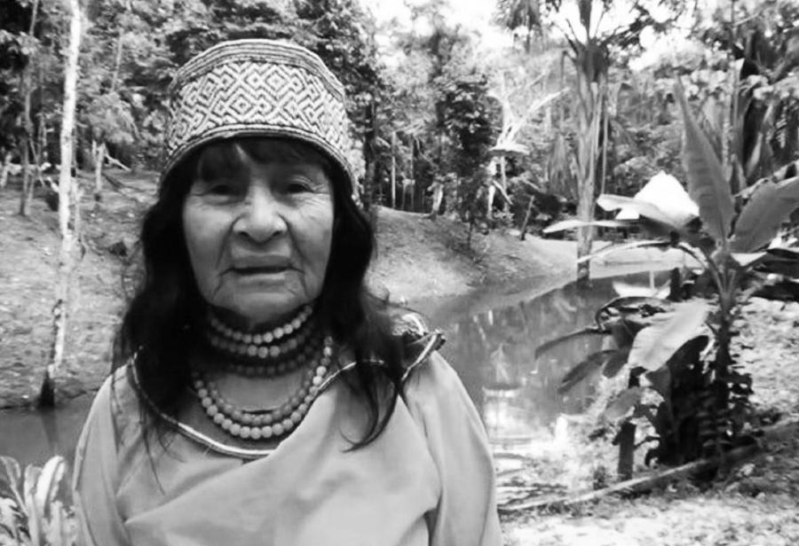 Ayahuasca, shipibos: protección y distancia