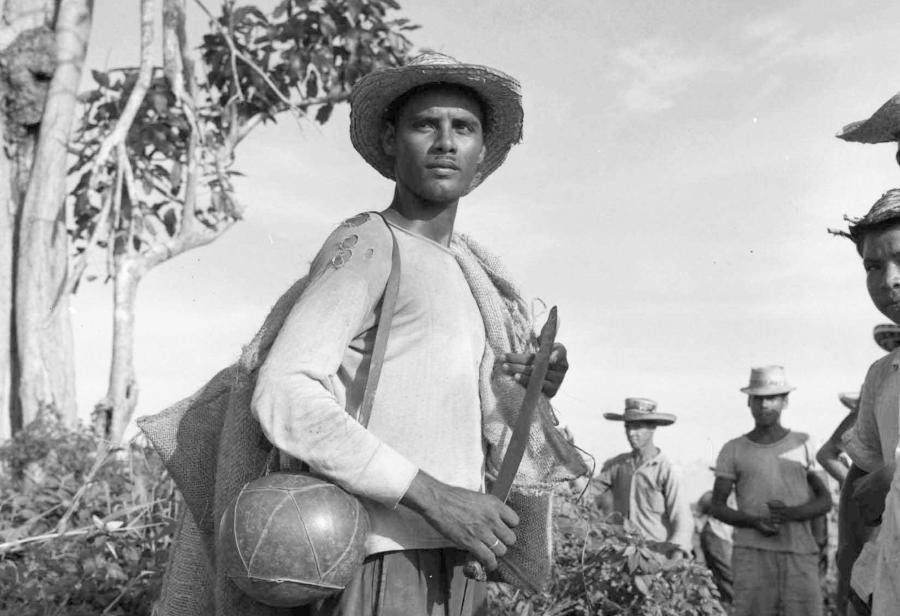Reforma agraria y ¿genealogía oculta?