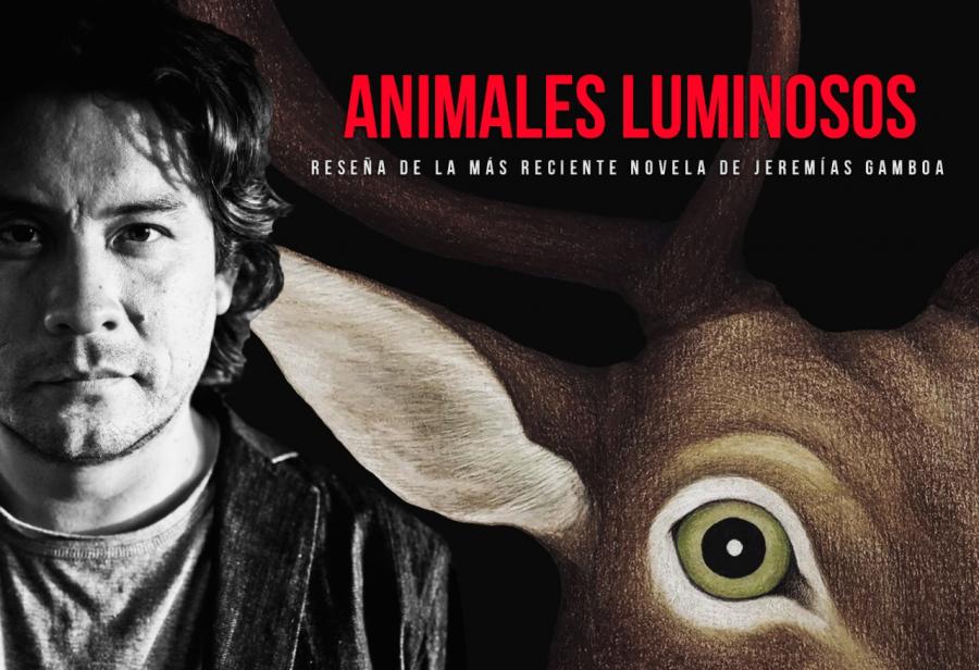 Animales luminosos