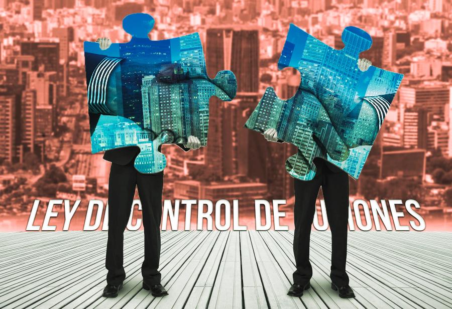 Ley de Control de Fusiones