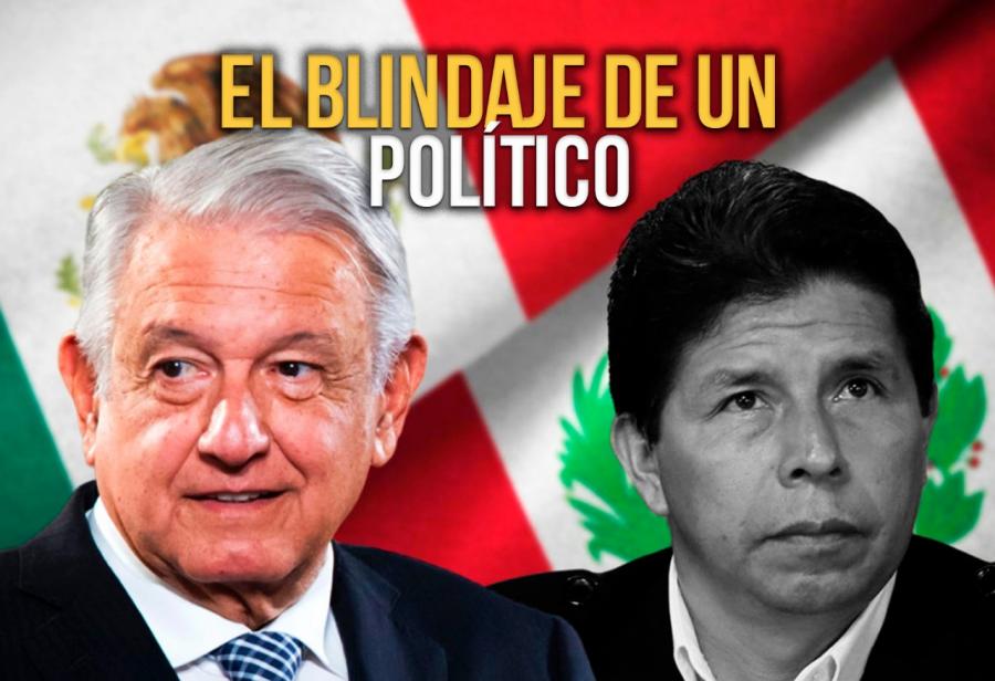 El blindaje de un mentecato político 