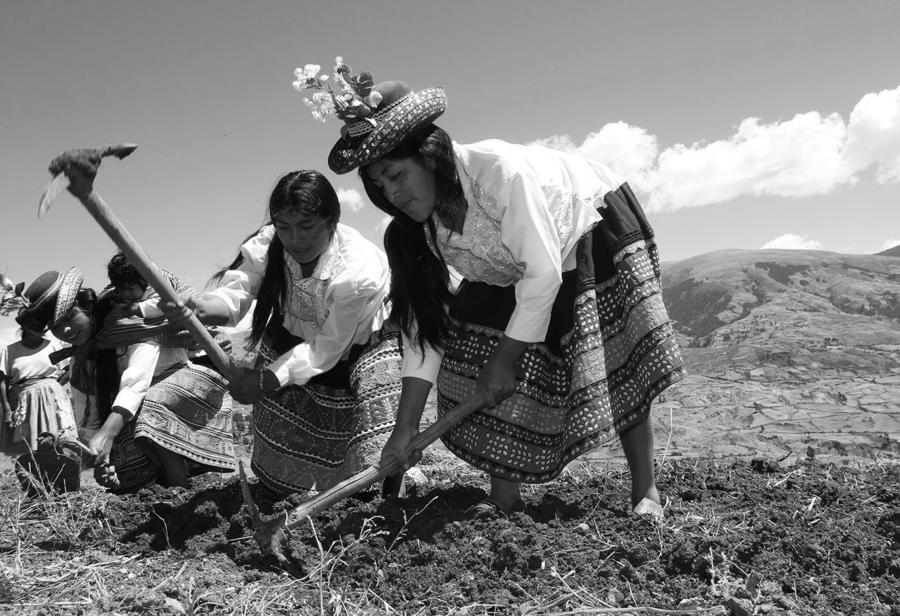 ¿Cuándo mejoraremos la situación de los campesinos?