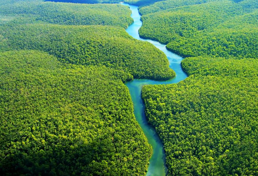 Â¿Nueva AmazonÃ­a o mÃ¡s de la misma?