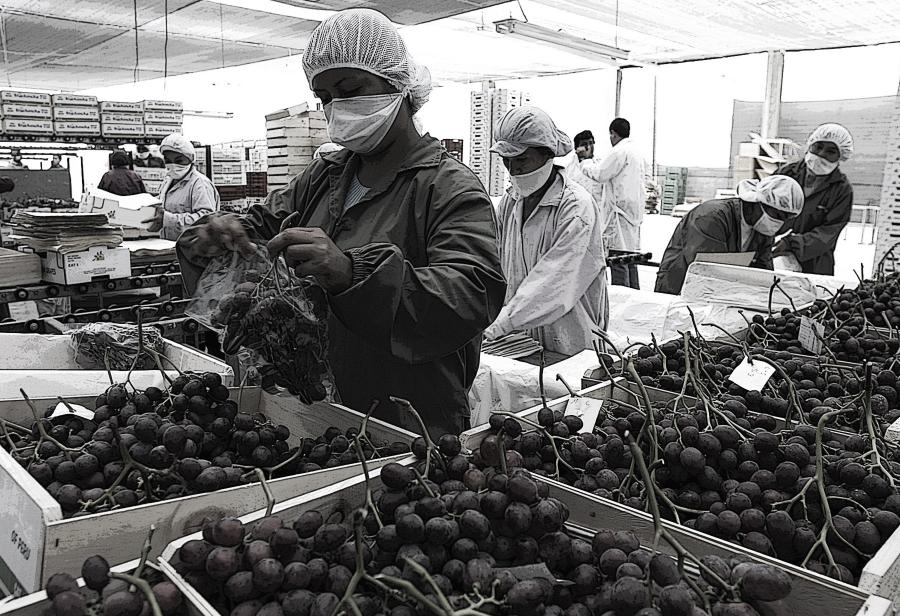 Derrumbe de las exportaciones peruanas