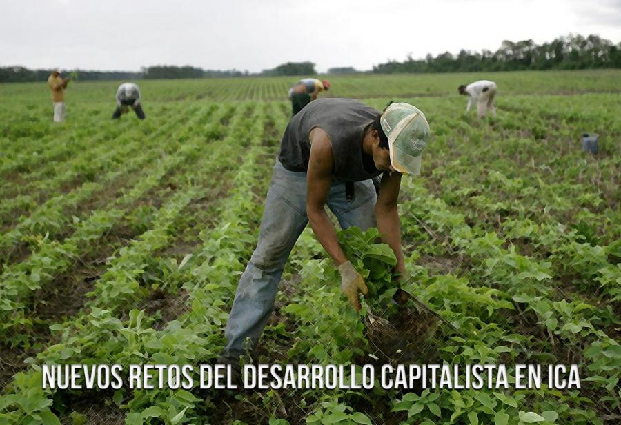 Nuevos retos del desarrollo capitalista en Ica