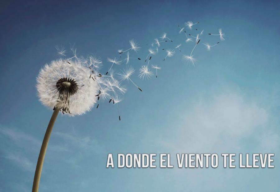A donde el viento te lleve