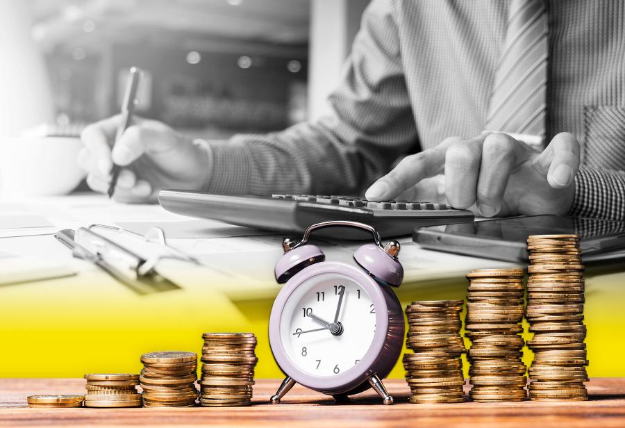 Teoría económica de la persona