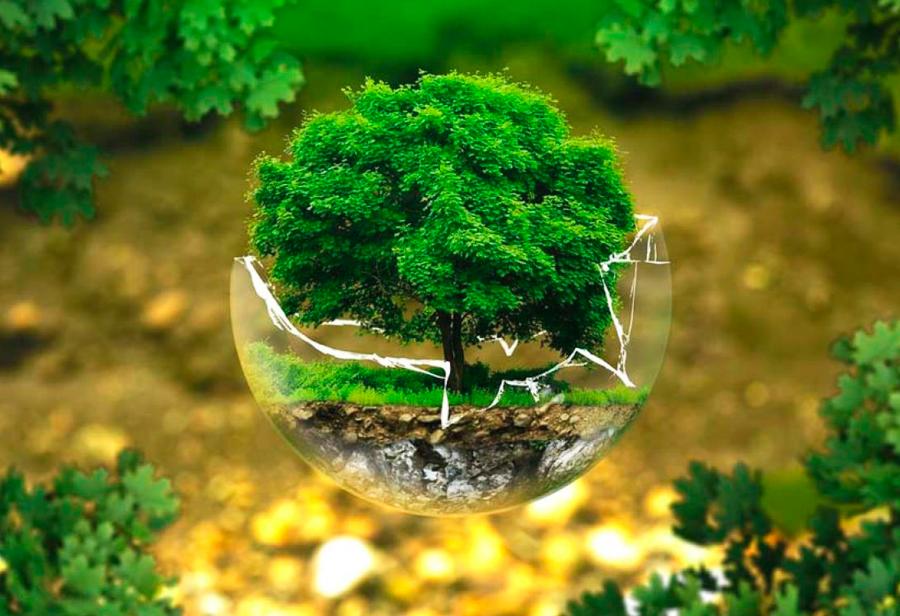 ¿A quién le importa de verdad el medio ambiente?