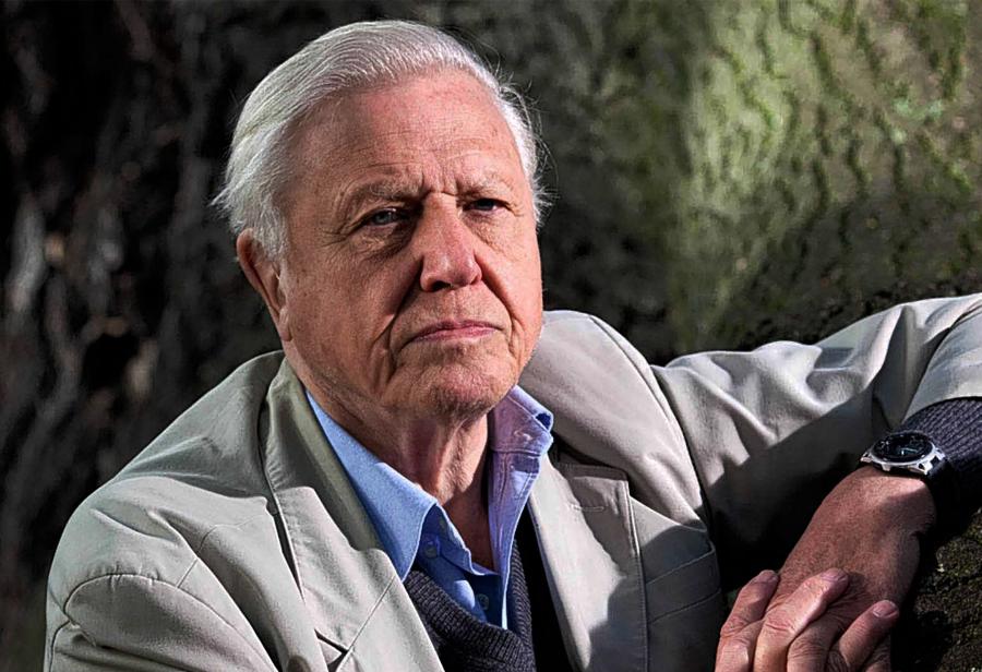 Solo hacía falta un hombre: David Attenborough