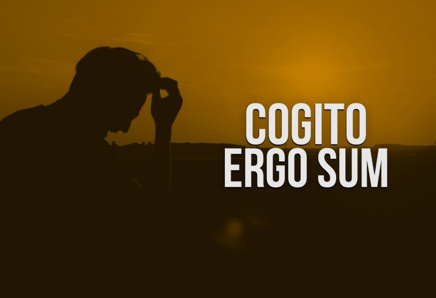 Cogito ergo sum