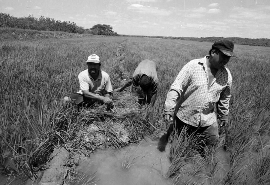 El Per&uacute;, una econom&iacute;a social de mercado