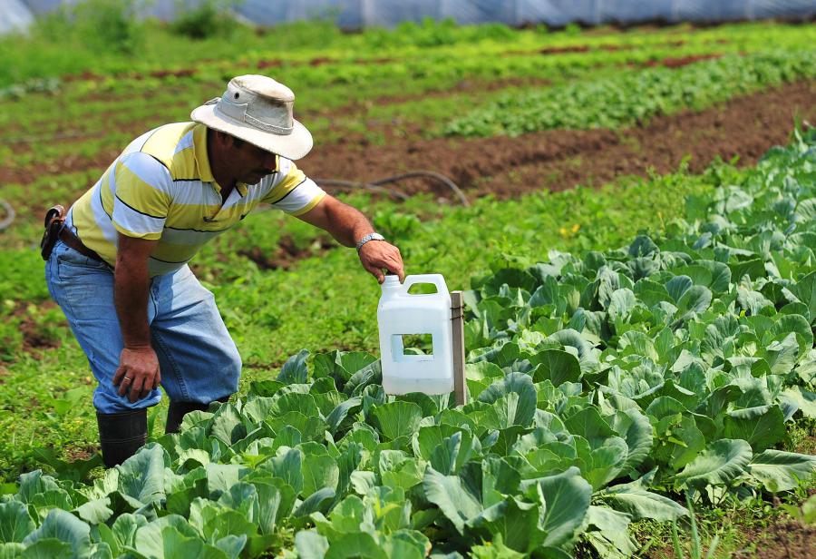 Una nueva batalla: la continuidad del r&eacute;gimen de promoci&oacute;n agraria