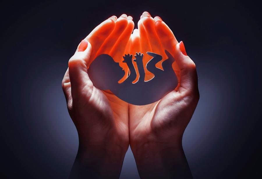 Gobierno aprovecha la pandemia para autorizar el aborto