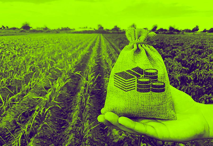 Cruzados al cuadrado