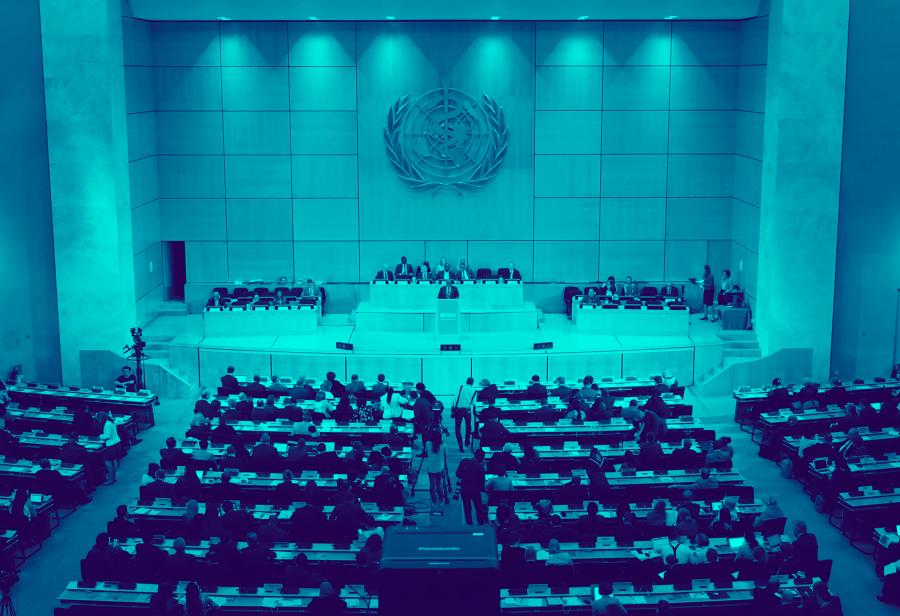 Asamblea Mundial de la OMS, conflictos y soberan&iacute;a nacional