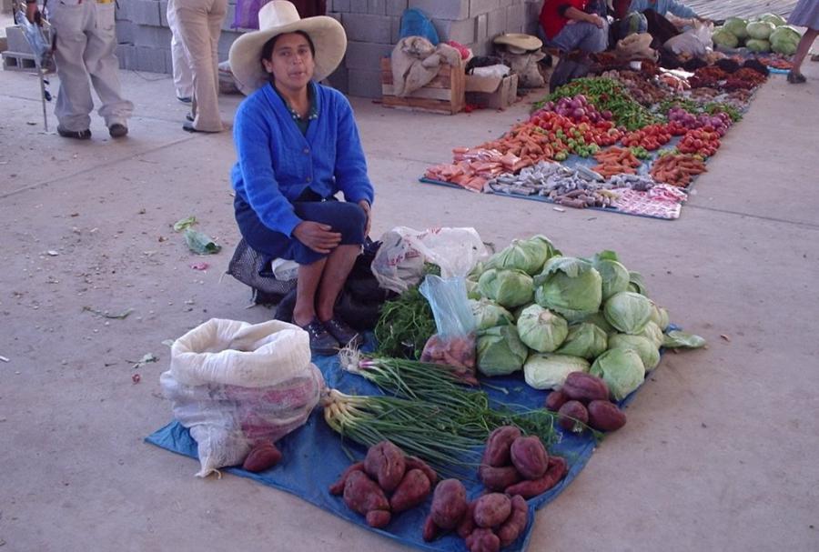 La pobreza se traslada al norte