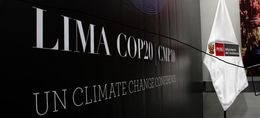¿Sesgo anti privado en la COP 20?