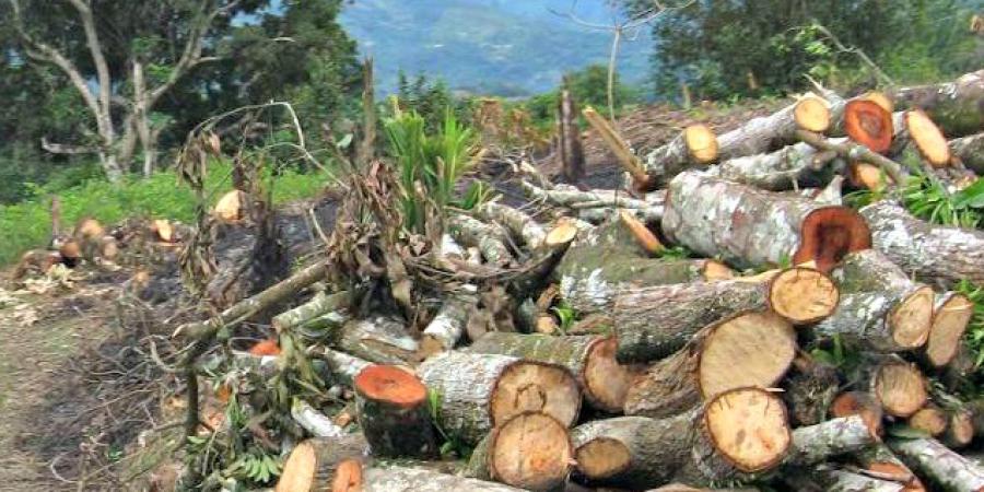 Formalizar para preservar el ambiente