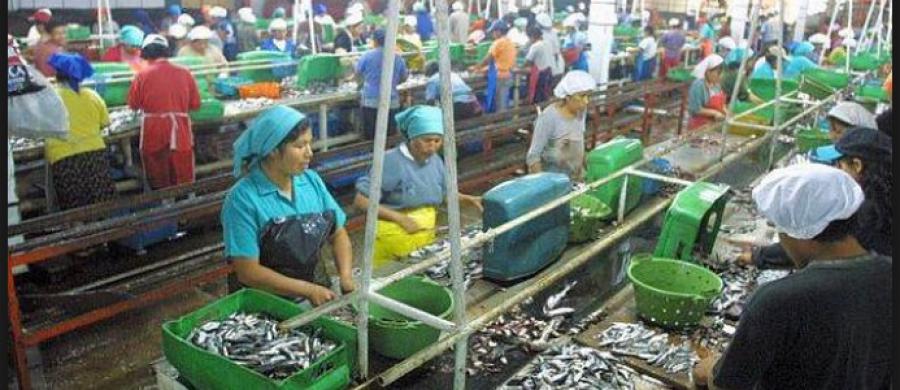 Pesca y cadenas virtuosas