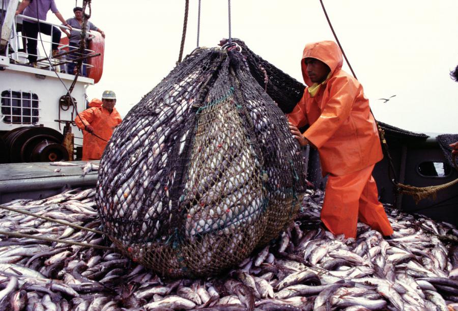 GOBIERNO PEPEKAUSA PROMUEVE LA PESCA INDUSTRIAL