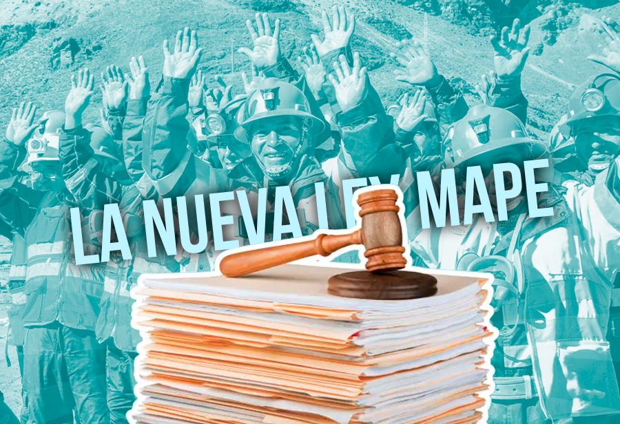 La nueva ley MAPE y el sistema de derechos de propiedad