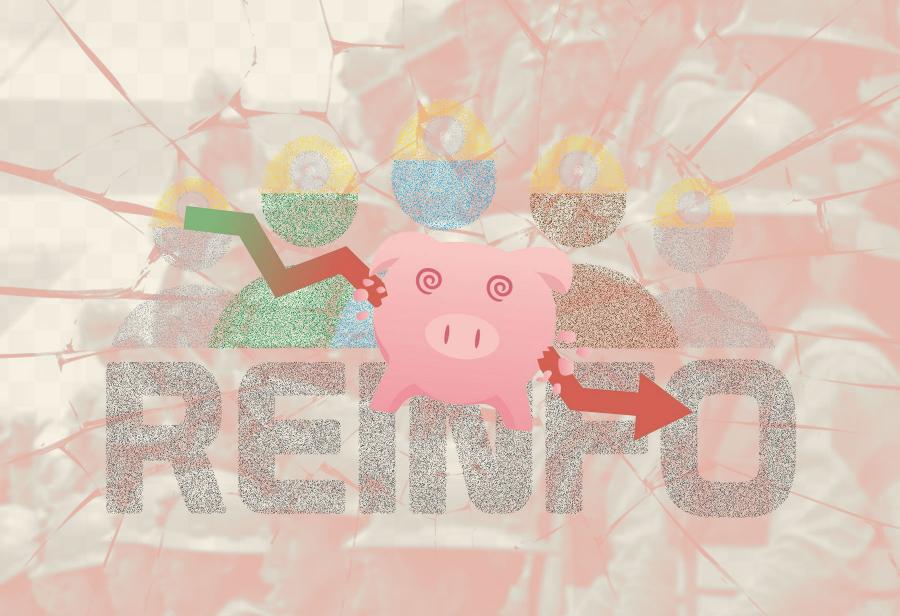 La ampliaci&oacute;n del Reinfo y la destrucci&oacute;n del modelo