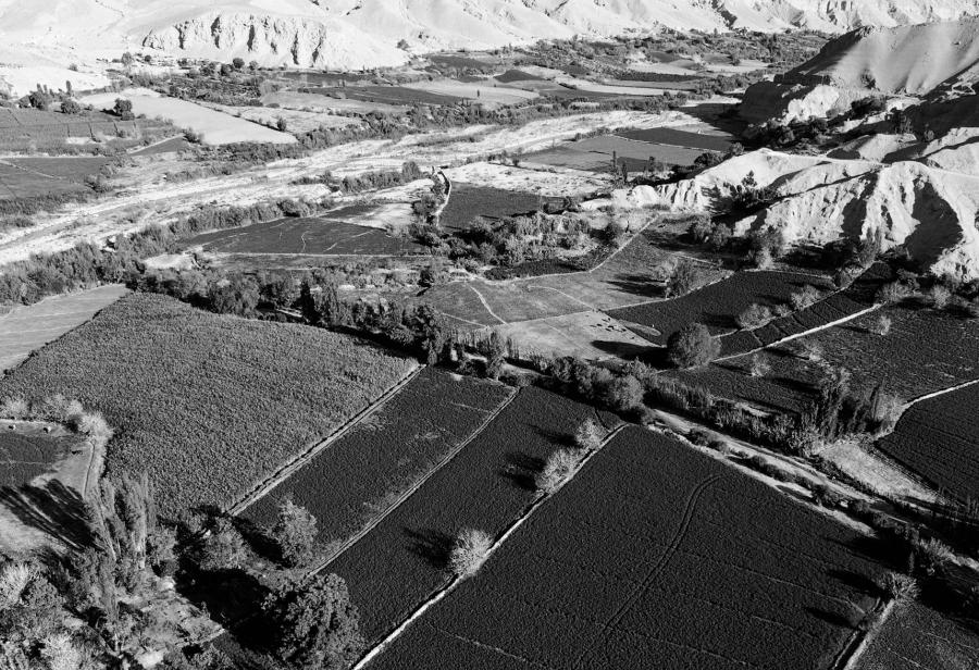 Majes Siguas II y la urgencia de una política agraria moderna