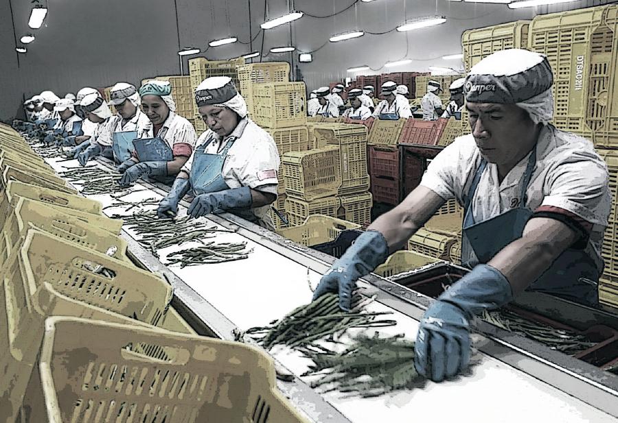 La impunidad del Partido de los Trabajadores
