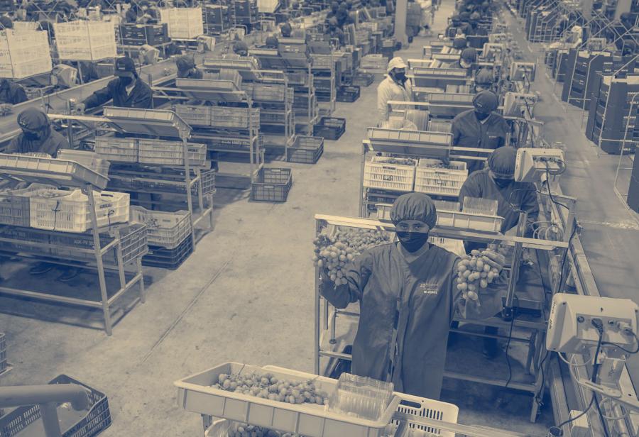 El horizonte agroexportador del Perú y una nueva urbanización de la sociedad