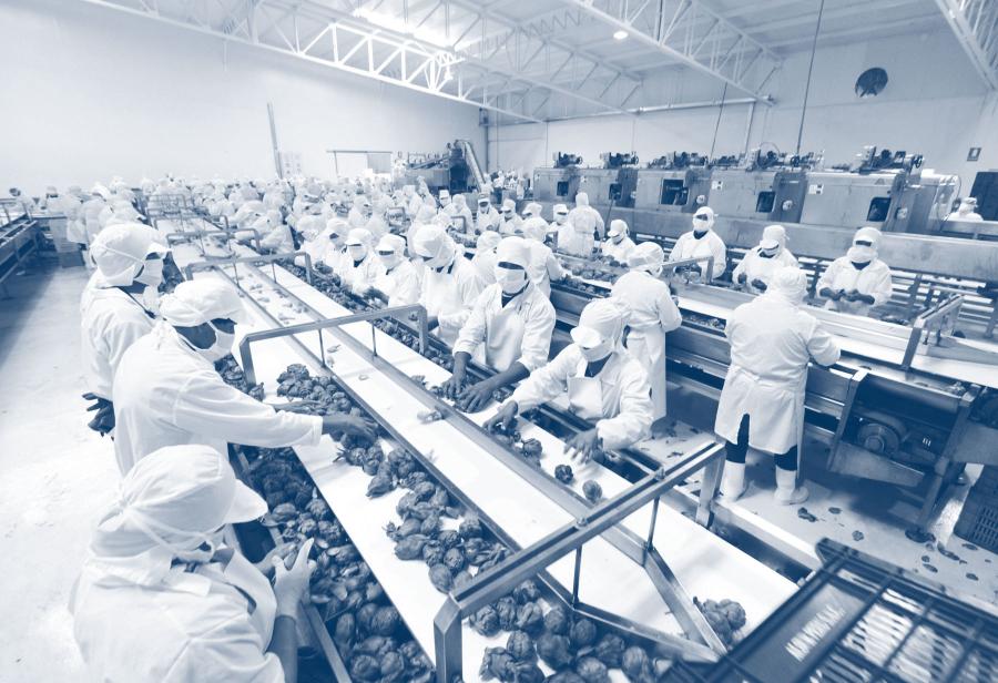 La batalla de ideas contra los enemigos de la agroexportaci&oacute;n nacional