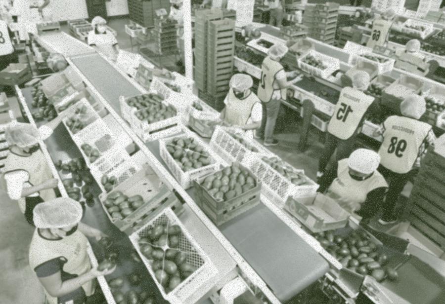 Persistir en el sue&ntilde;o exportador cueste lo que cueste