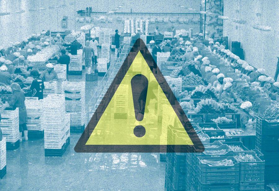 El sistem&aacute;tico ataque a las agroexportaciones en el Per&uacute;