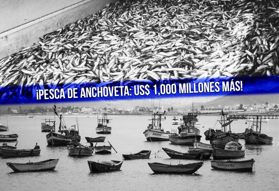 ¡Pesca de anchoveta: US$ 1,000 millones más!