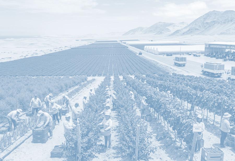 Concepto de Fuerza de Tarea y  Centro de Gravedad 