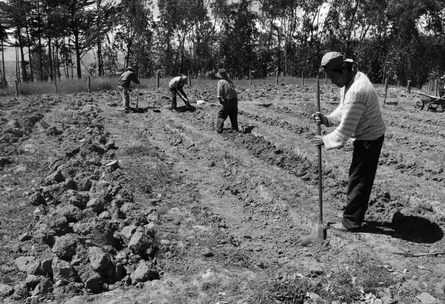 ¿Y la Ley de Promoción Agraria? ¿Qué pasa?