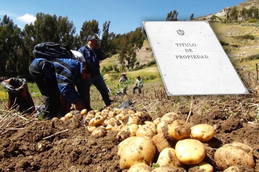 Los productores de papa y la titulación