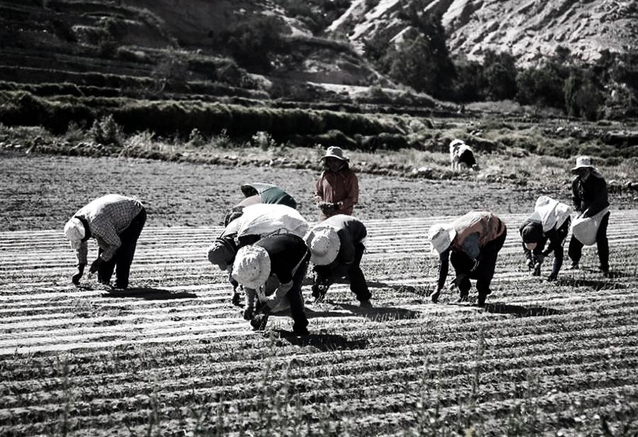 ¡Agroexportaciones para rescatar al minifundio!