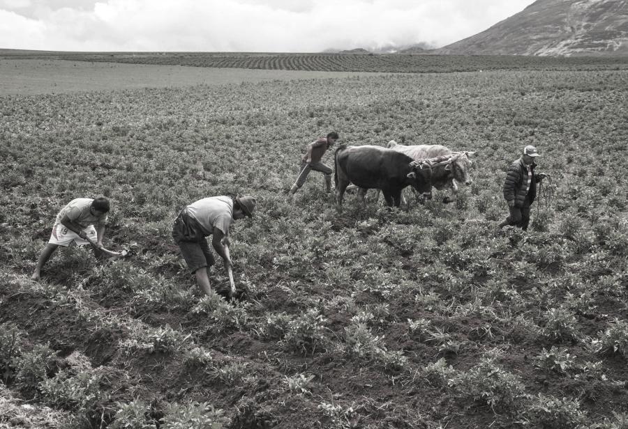 La expansión de la agricultura en el norte del país