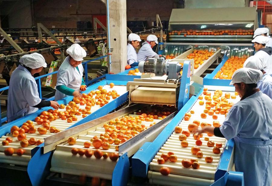 Agroexportaciones peruanas imparables