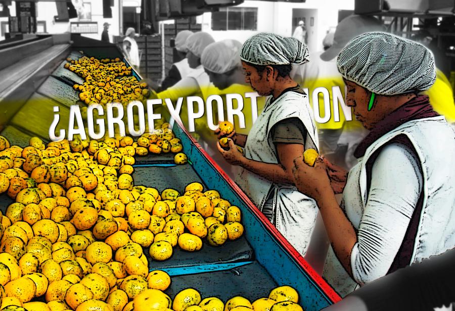 ¿Se detienen las agroexportaciones?