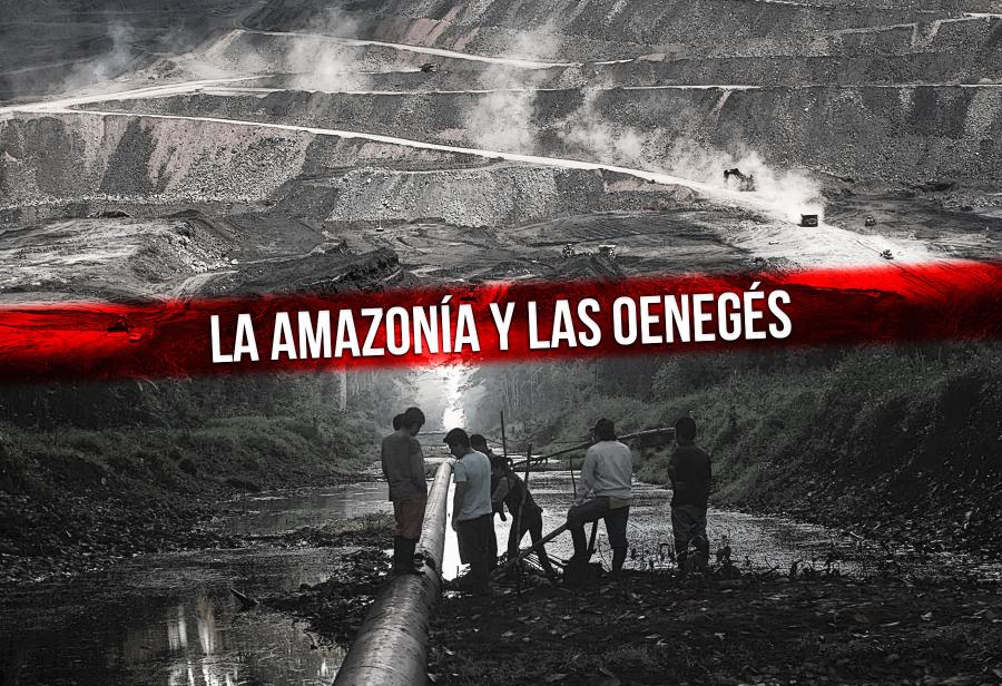 La amazonía y las oenegés