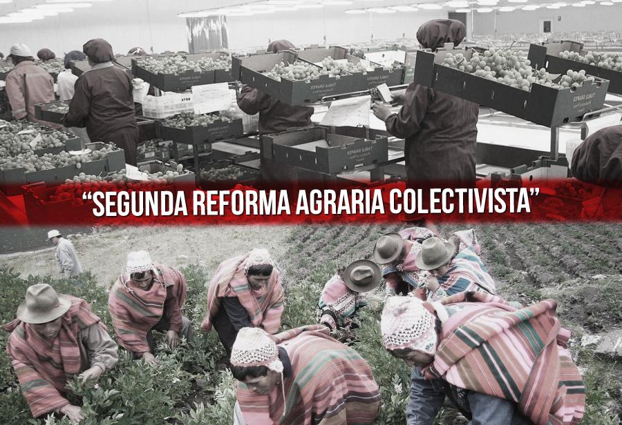 Detengamos la “segunda reforma agraria colectivista”