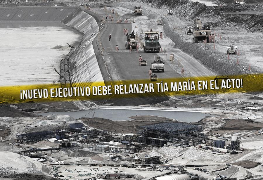 ¡Nuevo Ejecutivo debe relanzar Tía María en el acto!