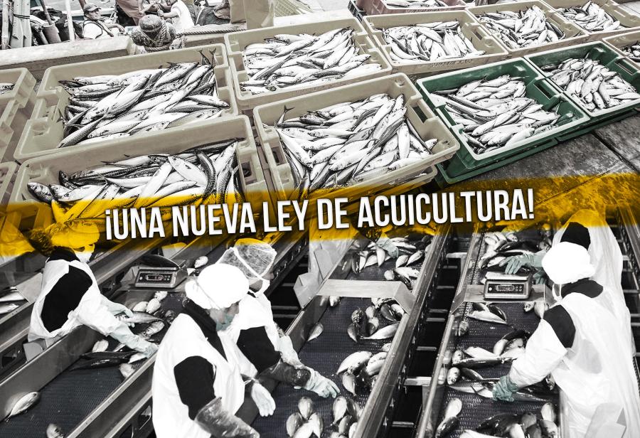 ¡Una nueva ley de acuicultura!