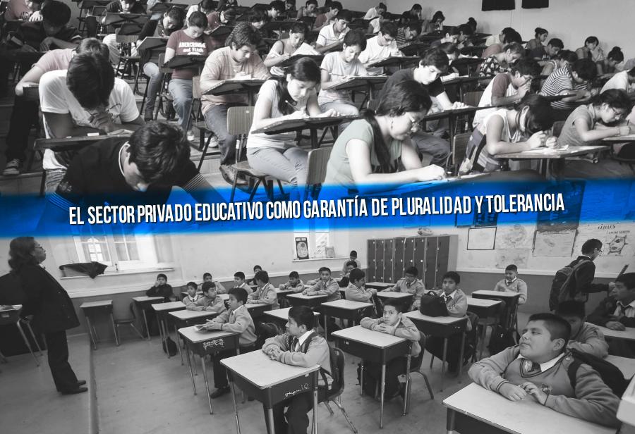 El sector privado educativo como garantía de pluralidad y tolerancia