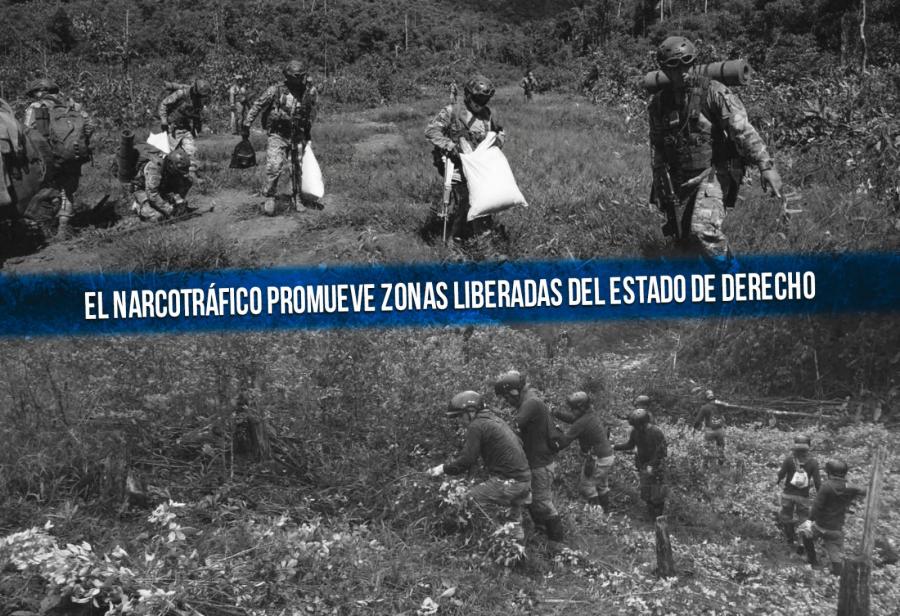 El crimen organizado y las amenazas democráticas en América Latina
