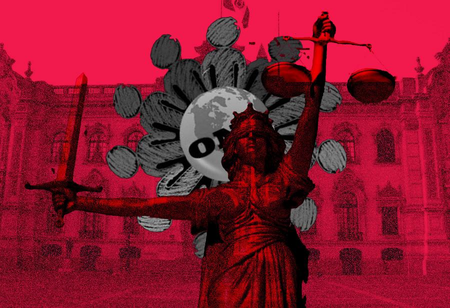 Ejecutivo no se atreve a reglamentar ley sobre oenegés