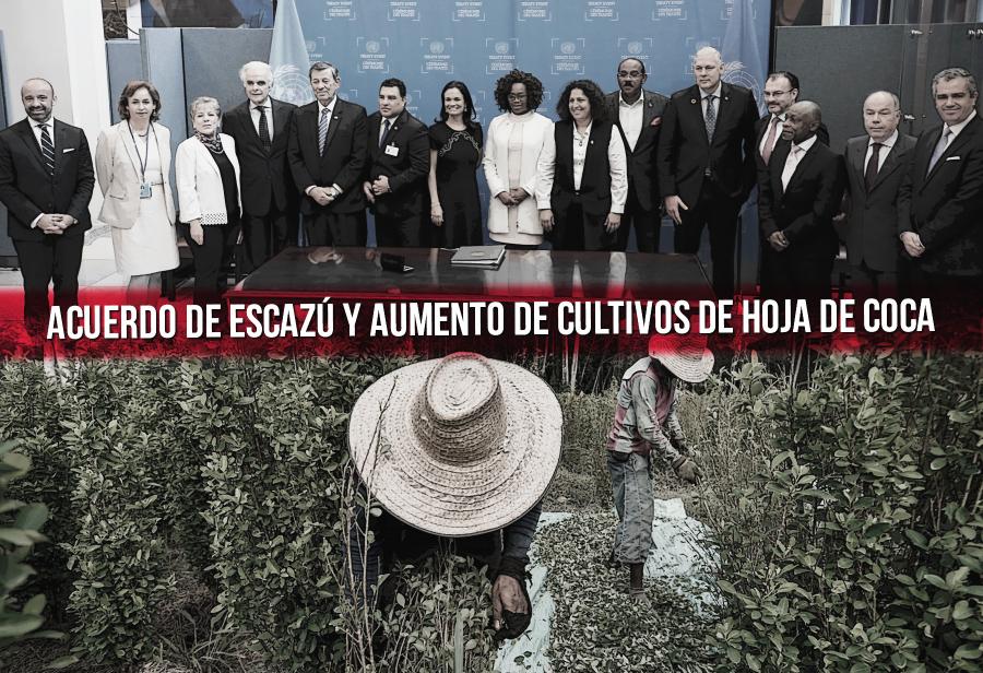 Acuerdo de Escazú y aumento de cultivos de hoja de coca