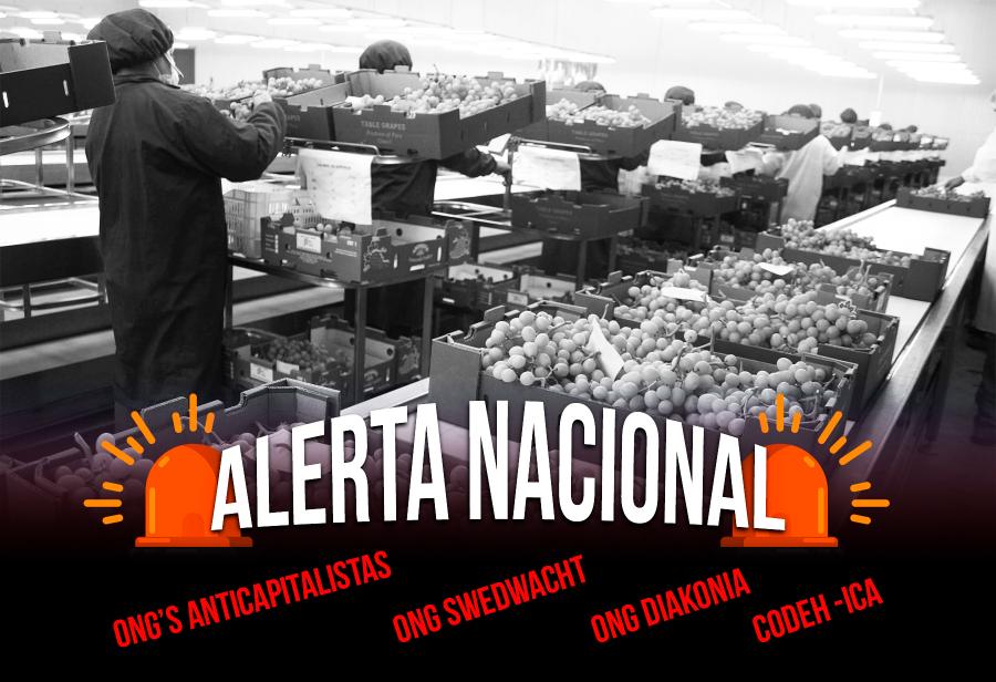 ¡Milagro de Ica bajo ataque!